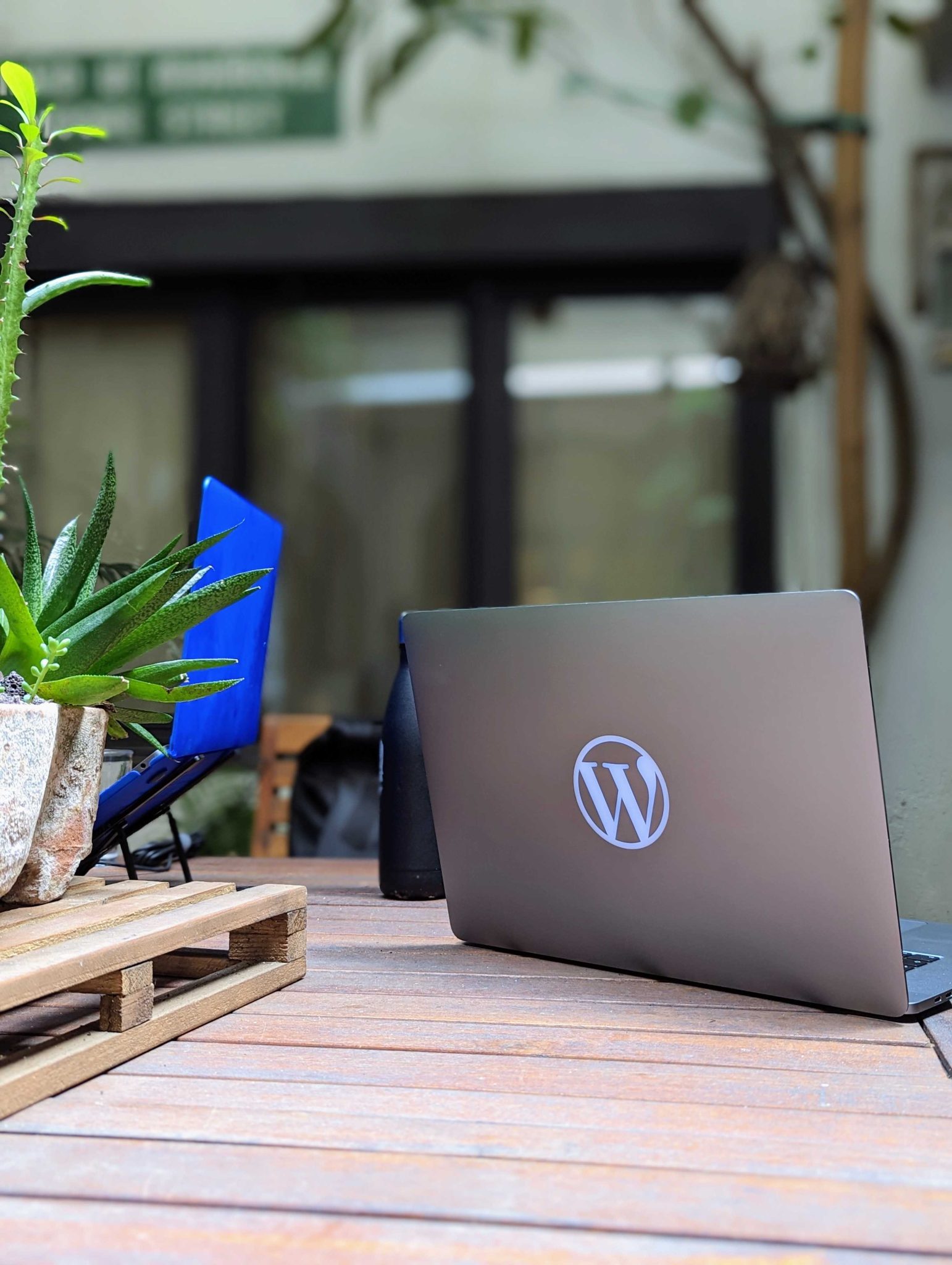 The WordPress logo on a a macbook.